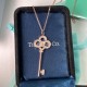 Tiffany & Co. Gold For Women Large Necklace Jewellery