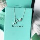 Tiffany & Co. Paloma Picasso 925 Silver Small Necklace For Women Jewellery