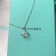 Tiffany & Co. Silver Crown Necklace For Women Jewellery