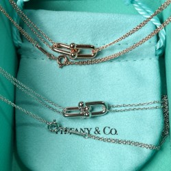 Tiffany & Co. Silver U-shaped Horseshoe Buckle Necklace For Women Jewellery 