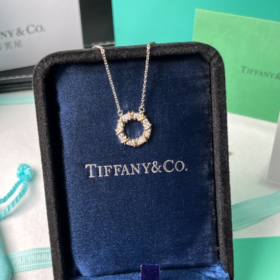 Tiffany & Co.Platinum Necklace For Women Pendant Jewellery