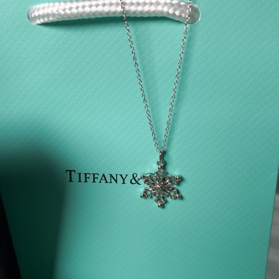 Tiffany & Co.Silver Snowflake Hollow Necklace For Women Jewellery