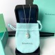 Tiffany & Co.Wichte Silver Necklace For Women Jewellery