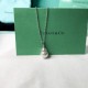 Tiffany & Co.Wichte Silver Necklace For Women Jewellery